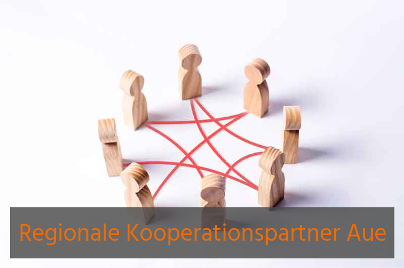 Kooperationspartner Aue